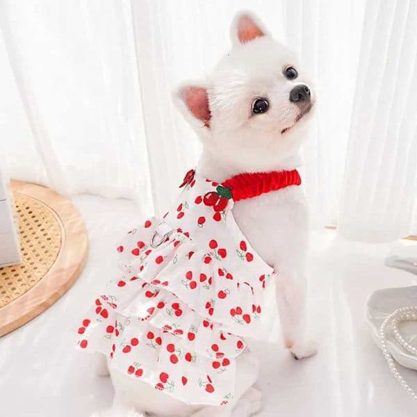 Sweet Dog Clothes Summer Cherry Pattern Sling Hoodie Dress For Girls Pet Clothing Puppy Dresses For Small Dogs Chiwawa Poodle XST260314