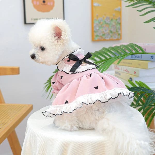 Cute Lace Dog Love Dress Summer Spring Pink Pet Jacket With Skirt Outfit Puppy Animal Cat Clothing Apparel Pomeranian Shih Tzu 260317