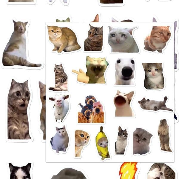 Hot-Selling Cat Meme Funny Abstract Emoji Ins Style Internet Celebrity Creative Notebook Stickers