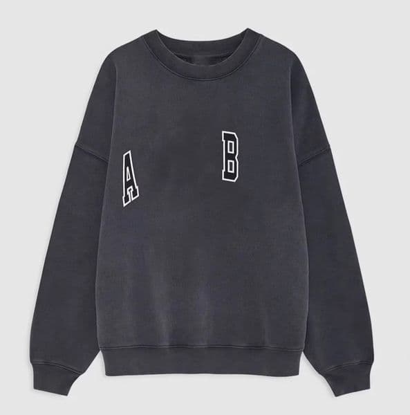 Luxury Designer Hip Hop Womens Loose Hoodie Crew Neck Hoodies Aninelys Vintage Trendy Sweatshirts Pullover Cotton AB Printed Streetwear Ladies Sweatshirt A206