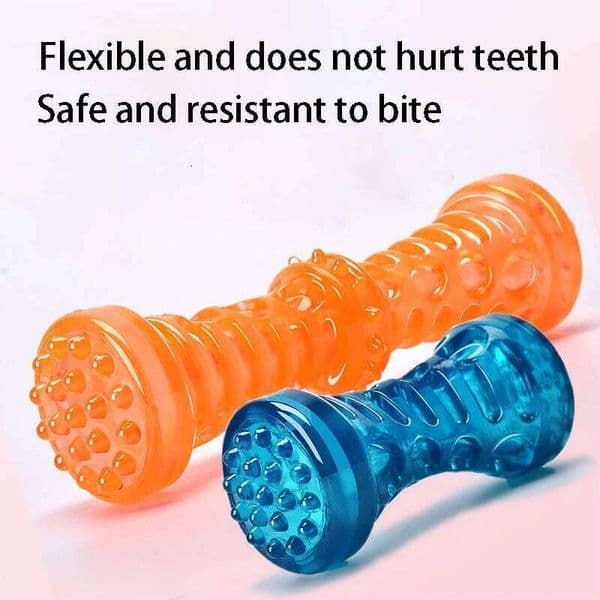 Bite Resistant Pet Toothbrush Sturdy Interactive Game Bone Rubber Puppy Chew Toy Dog 26Y0320