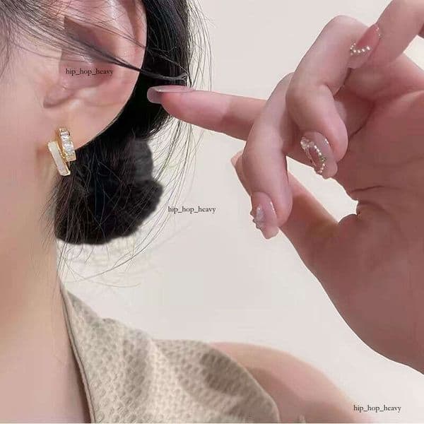 Super Shiny Zircon Earrings, Light Luxury with a High-End Feel, Unique Ear Clips, 2026 New Popular Ins Style, Elegant Niche Earrings for Women
