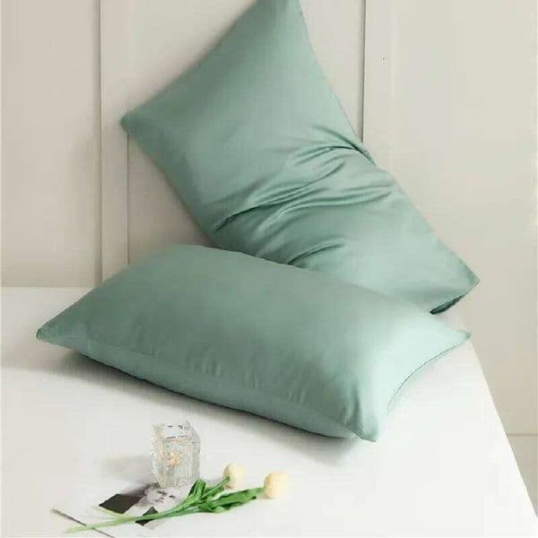 Luxurious 60S Lyocell product summer ice silk cool pillow case single pillowcase a pair. 26H0324