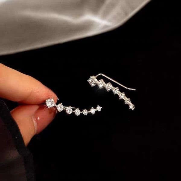 Korean and Japanese light luxury zircon earrings for women, niche design, high-end earrings, 2025 new popular style, elegant ear accessories
