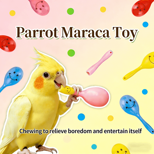 6 Pcs Parrot Rattle Shaker Musical Sound Toy - Foot Gripping & Biting Interactive Stress Relief Mini Rattle