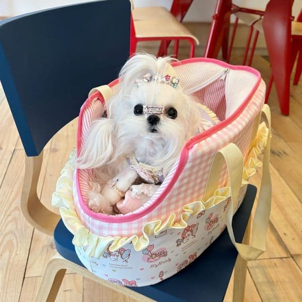 Pet Bag Summer Outing Portable Four Seasons Breathable Pink Plaid Yellow Lace Handbag For Teddy Small Dogs Cats