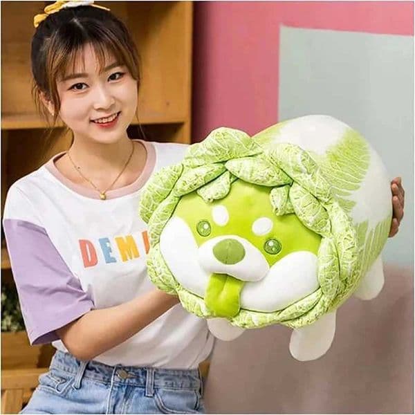 2026 New New Cute Vegetable Fairy Plush Japanese Cabbage Fluffy Stuffed Animals Dog Soft Doll Shiba Inu Baby S Toys Gift R251210 Toy Zsz Toys