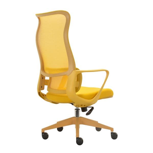 Modern Contemporary Stylish Mesh Executive Desk Chair Executive Mesh Office Task Chair Ergonomic Design for Comfortable Sitting