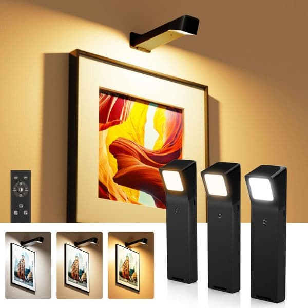 RGB Rechargeable Picture Light with Remote Control for Wall Art