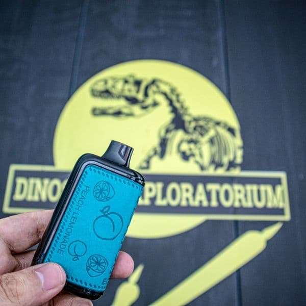 Factory Price Vape Device Tastefog Echo 2% 16ml 650mAh Disposable Vapes 12 Flavors with Display Screen