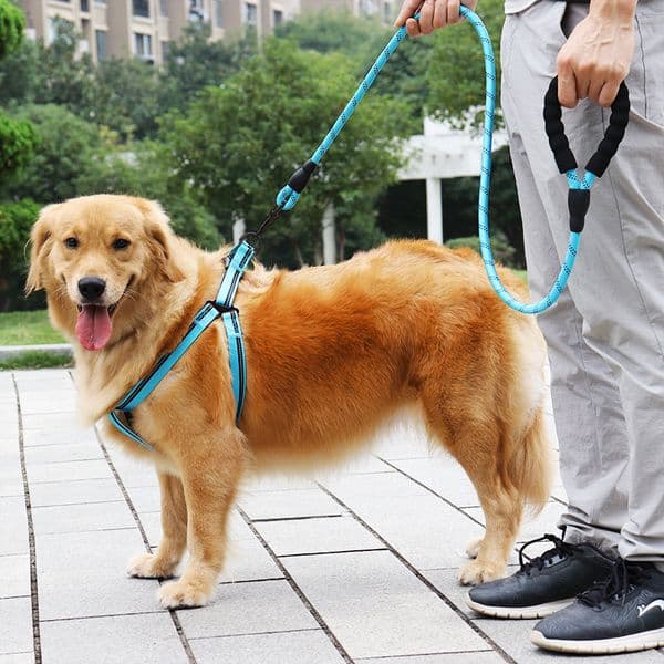 Walking Imitation Nylon Reflective Large Medium Small Dog Pet Collar with Leash Climbing Rope