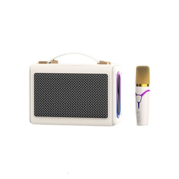 Outdoor Camping All In One Speaker Portable Microphone For Kids Family KTV Outdoor Karaoke Home Subwoofer