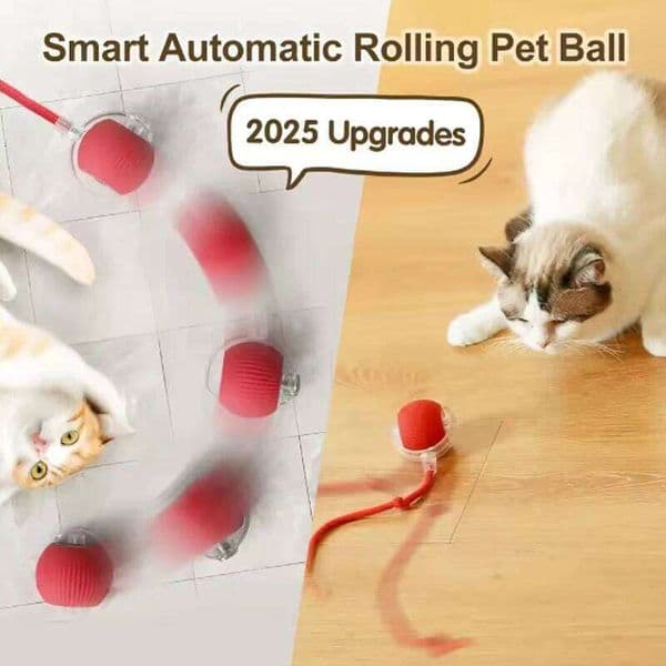 Self-satisfied toys that can be bitten by long-lasting smart cat automatically avoid pets with ropes and jump balls