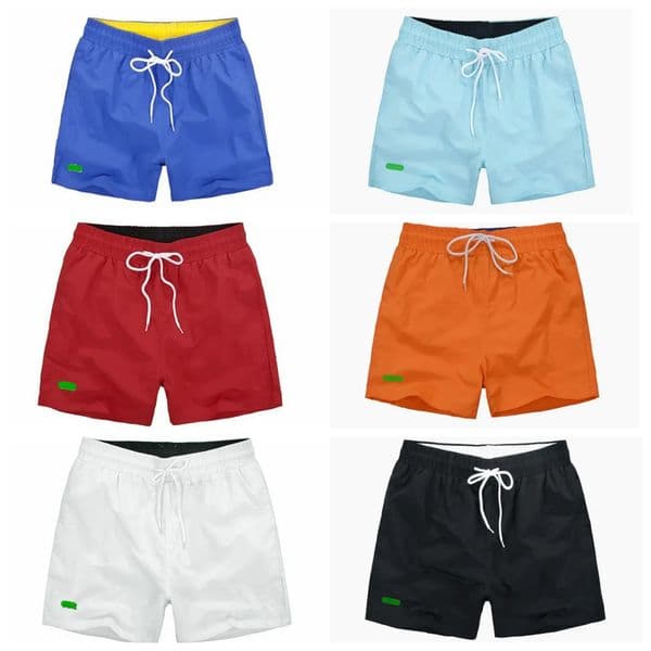 2026 Crocodile Mens Summer Shorts Man Swimwear Swim Shorts Male Cotton Swimwear Sport Fitness Trunks Short Pants Pywa BAAQ