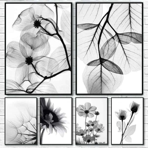 Black and white plant flowers, HD canvas print wall art poster, suitable for home, living room, bar decoration 26L0505