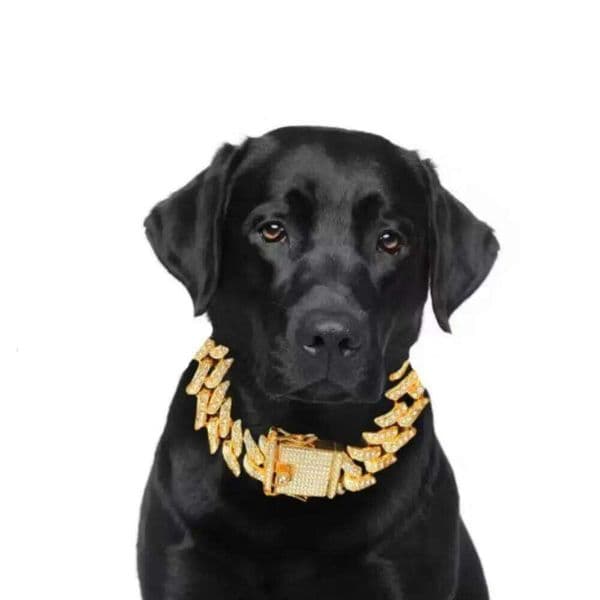 Rhinestones Cuban Chain Decorative Metal Thorns Necklace Gold/Rose Gold/Silver Diamond Dog Collar Puppy 26H0506