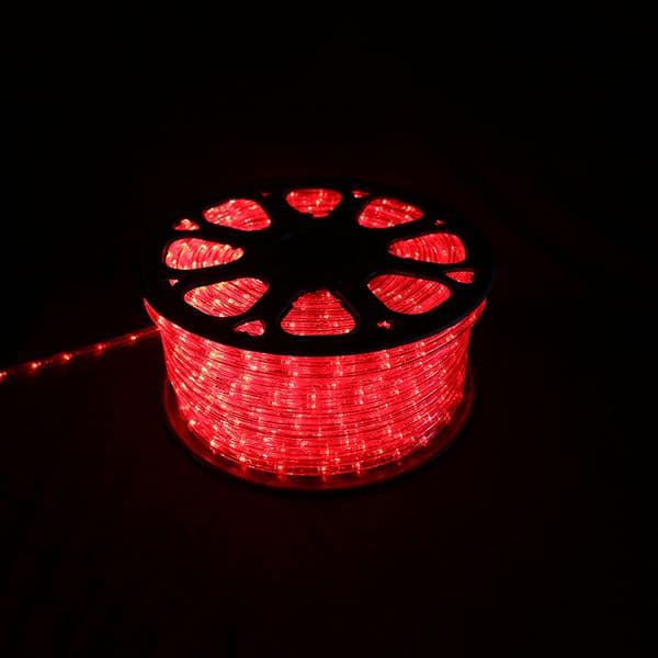 Hollow Circular Two-Line Tube Lamp Colorful Options for Stylish Lighting 10mm