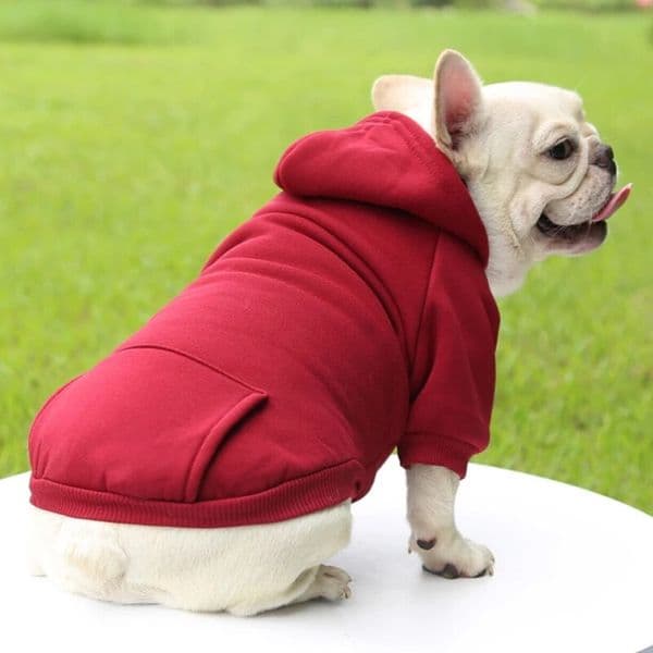 Autumn And dog Winter Small Clothes Thickening Warm Solid Color Two-Feet Hooded Wweater Casual Pet Products Free Shipping