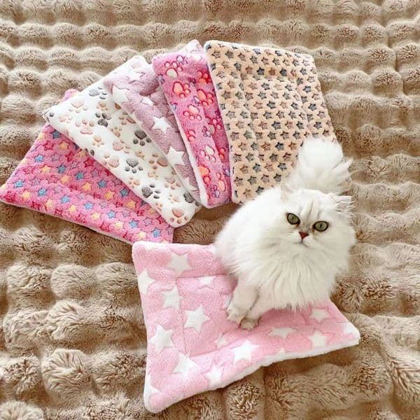 Pet Sleeping Mat Dog Bed Cat Litter Puppy Bed Dog Sofa Lovely Mattress Cushion for Small Dogs Winter Blanket CWDZ01 260508