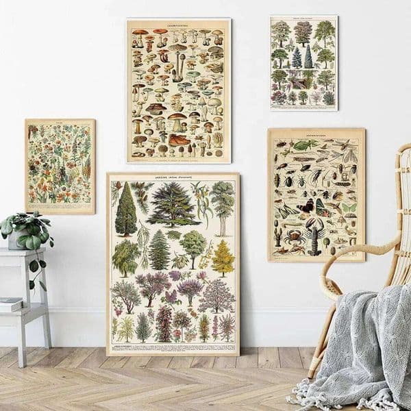 Vintage Adolphe Millot Encyclopedia Posters and Prints Botanical Mushrooms Herbs Flowers Insect Canvas Paintings Wall Art Decor 26Y0511