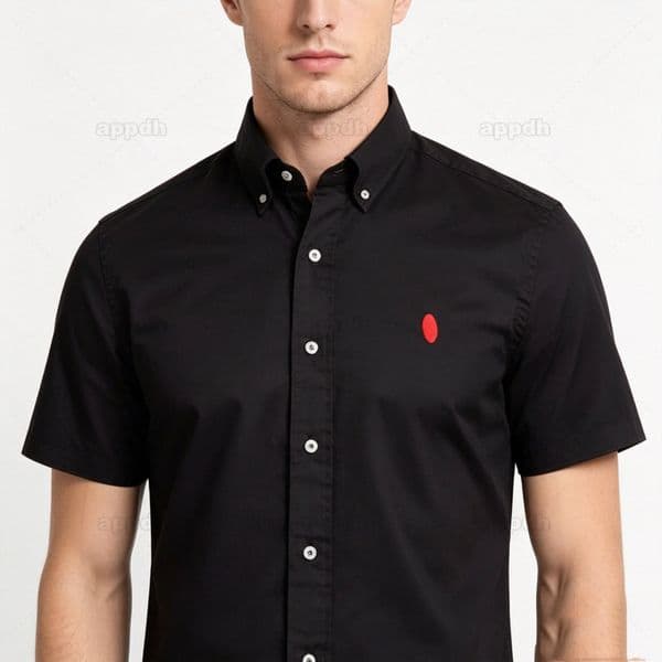 RL Shirts Mens Designer Tshirts Summer Horse Embroidery Polos Shirt Tops Tees Casual Streetwear Solid Color Blouse Business Leisure Oxford Textile But O1hq#