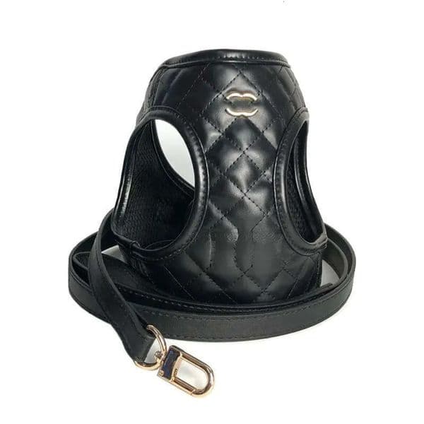 2026 New Designer Dog Harness Leash Set, Step In Chock No Pull Soft Mesh Adjustable Puppy Vest Harnesses With Classic Letter For Small Dogs Free Shipping 02