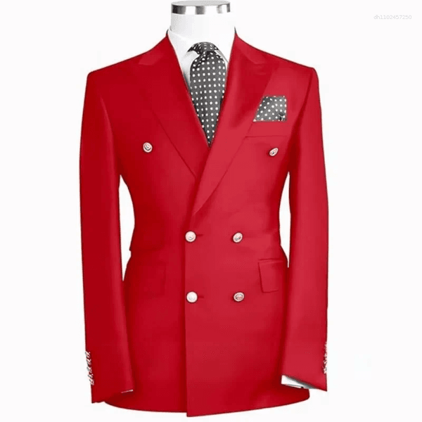 Men's Suits Custom Double Breasted Sports Suit Wedding Party Formal Jacket | Slim Fit Business