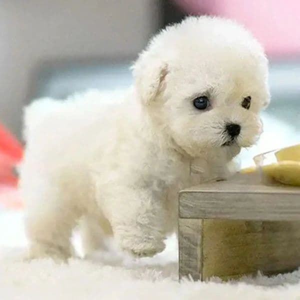 Birthday Gift Stuffed Animals istic Robotic Puppy Simulation Interactive Robot Dog Barking Soft Walking Dog Baby 260512