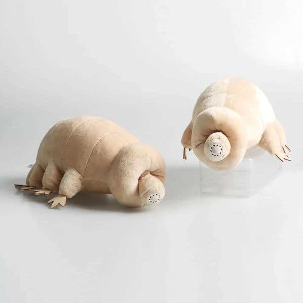 25CM Cute Tardigrade Plush Toy Soft Stuffed Animal Toy Lovely Water Bear Insect Doll Kids Educational Toy Boys Birthday Gift L260514