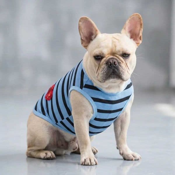 Breathable Dog Striped T-Shirt Pattern Thin Design Dog Summer Vest Round Neck Soft Fabric Pet Cooling Vest Casual Outfit J260515