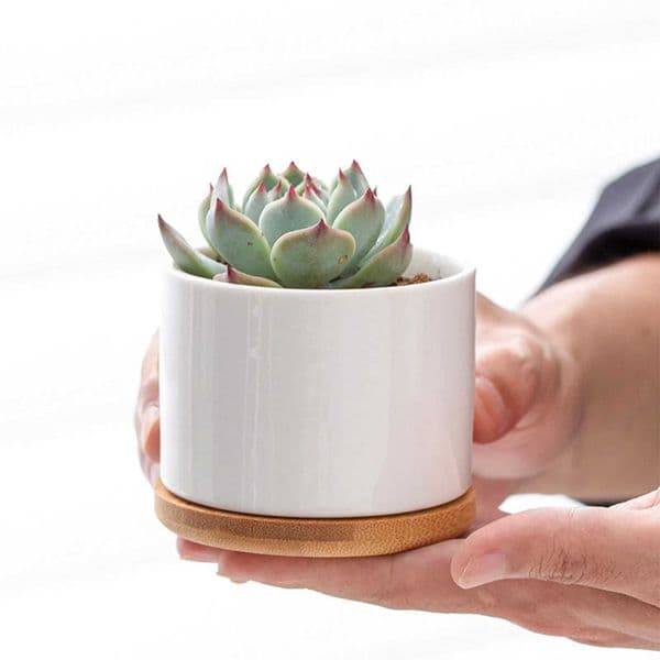 Ceramic Planter Pot with Bamboo Tray Succulent Plant Round Desktop Pot Small Bonsai Pots Green Planters Creative Flowerpots L260516
