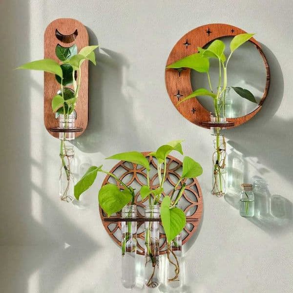 Plant Propagation Station Wall Hanging Wooden Moon Phase Plant Terrarium for Hydroponics Home Office Decor Air Plant Holder Gift L260516
