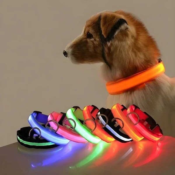 Dog Collar Nylon LED Night Safety Flashing Glow In The Dark Pet Dog Leash pet Dogs Luminous Fluorescent dog accessories collar C260516