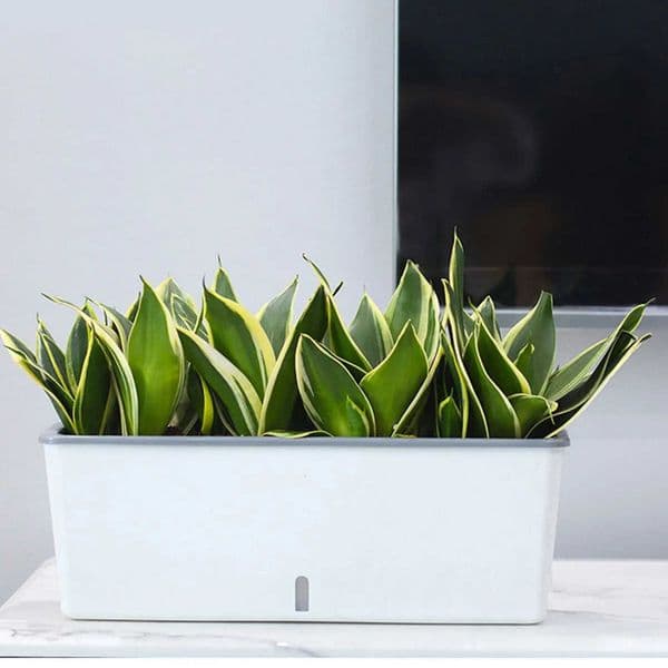 Lazy Twin-Layer Planter Pots Long Strip Double Layer Flower Pot for Indoor Home Garden Accessories L260516