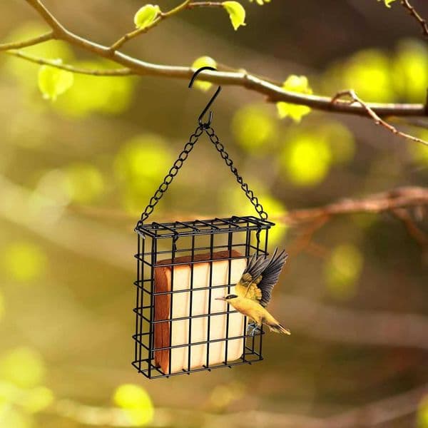 Outdoor Hanging Square Chain Bird Feeder Wire Mesh Bread Fruit Food Hummingbird Feeder L260518
