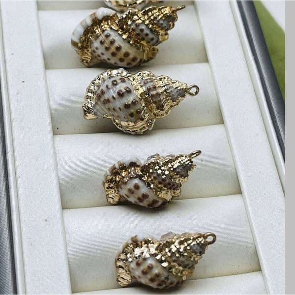 10pcs/pack Shape Gold Color Wrapped Pendant Natural Conch Charms for Jewelry Making DIY Women Necklace Earrings Accessory