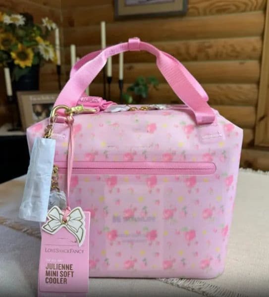 Luxury Designer Decor US Warehouse Julienne Mini Soft Lunch Box 10-Can 40Oz Cup Carry All Bag 12-Hour Cooling Travel Cooler Designer Ice Pac 020