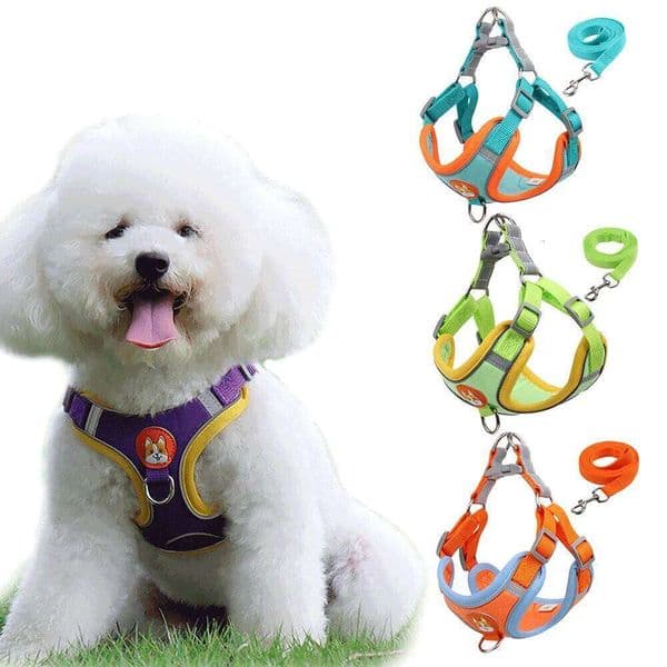 Cat Dog Leash Pomeranian Puppy Harness Vest Suede Reflective Walking Lead Pet Adjustable Rope for Small Dogs J260522