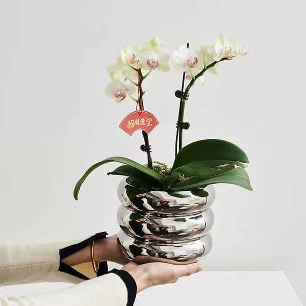 Simple Ceramic Flowerpot Office Desktop Green Plant Flowerpot Wind Silver Small Vase Flower Arrangement Decor Desktop Ornament L260521
