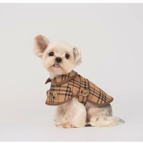 Luxury Designer ClothesCollar Dog Jacket Small Dogs dog Handmade Puppy Raincoat Jacket, Free Shipping