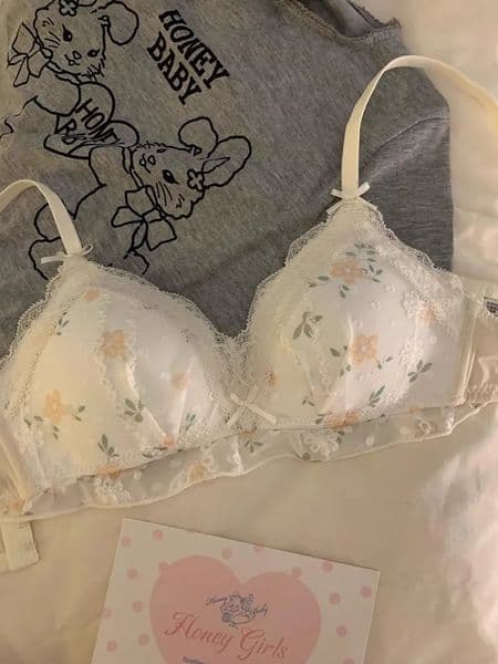 French Floral Underwear Womens Small Breasts Gather Summer Thin Show Pure Wind Lace Bra Cover Set Collect The Side Milk 260521