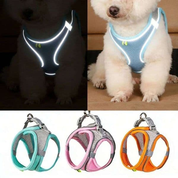 Reflective Breathable Adjustable Pet Harness Vest and Leash Set for Small Medium Dogs Cats Outdoor Walking W260526