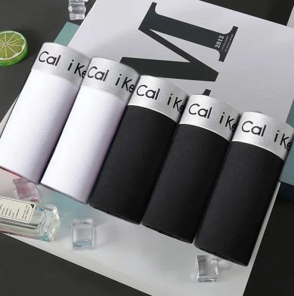 5pcs Sets Designer Long Leg Boxer Shorts Cotton Male Underpants for Men Sexy Homme Boxershorts Box Panties Slip Hot