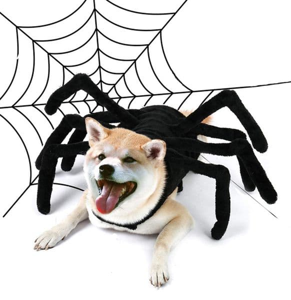 cat Luxury For Dog Cat, Pet Costume Halloween Decorations, Decor Party Supply, Spider Cosplay Costumes With
