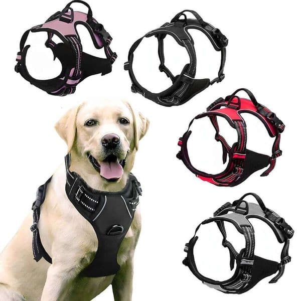 German Oak Cooling Dog Set - Escape Proof Harness Vest & Leather Collar with Anti-Chafe, Breathable for Large Dogs W260526
