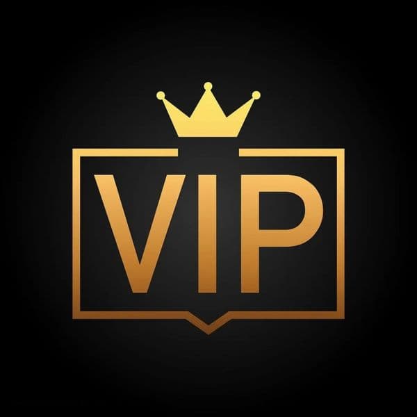 VIP Customer Payment Link Party movie prop Shooting collection