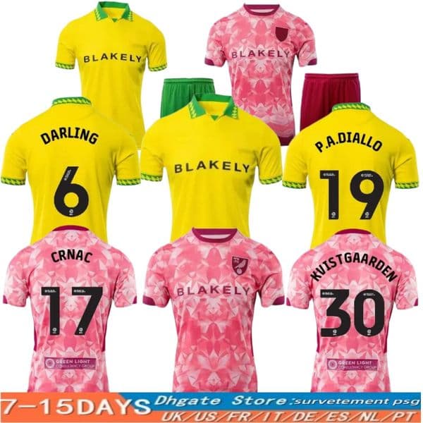 25 26 Norwich cities soccer jerseys 2025 2026 BORJA CISSOKO GIBBS CASSERES DALLINGA SAINZ Home Away Football Shirts PUKKI SARGENT kids ersey kits