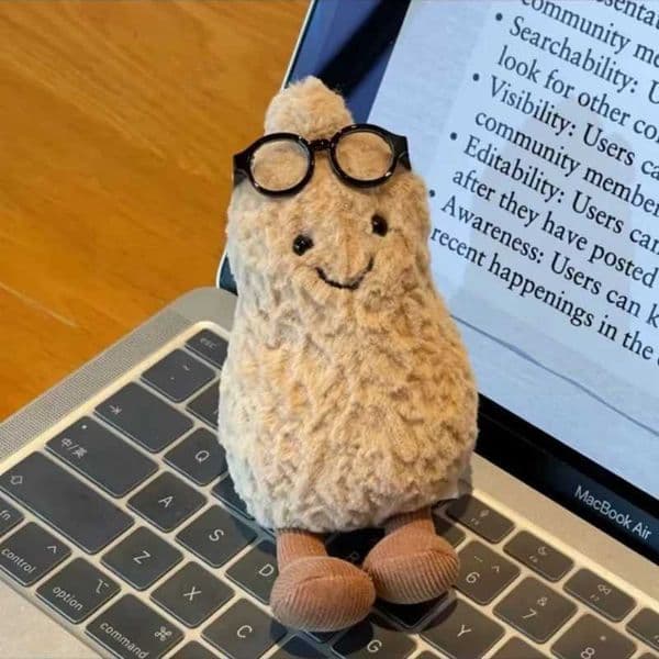 Nut Amuseable Peanut Pendant Kawaii Plush Doll Lovely Accompanying Children Toy Soft Gift Kids L260527