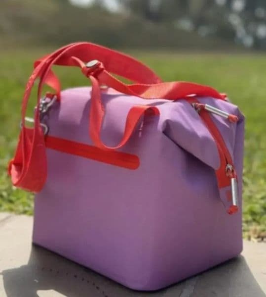 Luxury Designer Decor US Stock All Day Julienne Mini room Soft Lunch Bag Box 10-Can Recycled Polyester 12-Hour Coog Travel Cooler Bags 40Oz 6 022