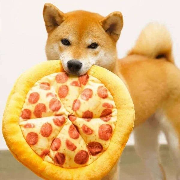 Dog Plush Pizza Shape Squeaky Sound Toys for Small Large Dogs Puppy Teeth Cleaning Chew Toy Pet Supplies 26L0530